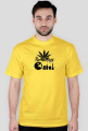 Pacman Classic