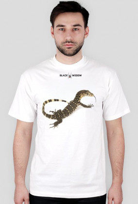 Lizard 01 M 01