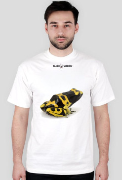 Frog 02 M 01
