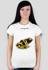 Frog 02 F 01