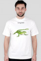 Lizard 03 M 01