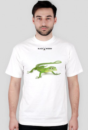 Lizard 03 M 01