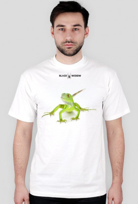 Lizard 04 M 01