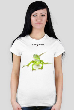 Lizard 04 F 01