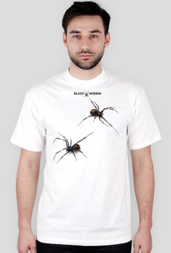 Spider 02 M 01