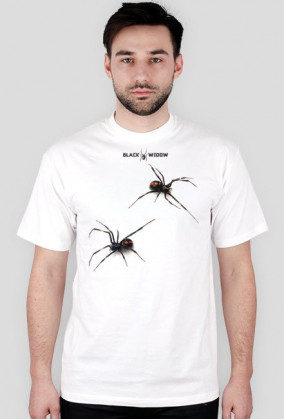 Spider 02 M 01
