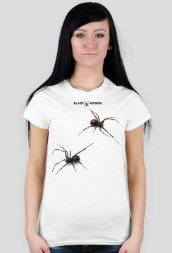 Spider 02 F 01