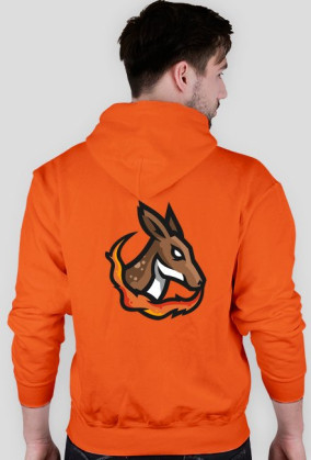 Bluza z kapturem Logo