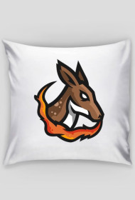 Poduszka Jasiek z logo i autografem