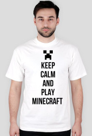 Play minecraft