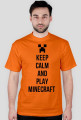 Play minecraft