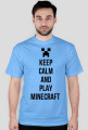Play minecraft