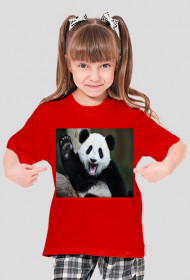 panda panda fajna panda