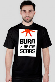 burn up my scars