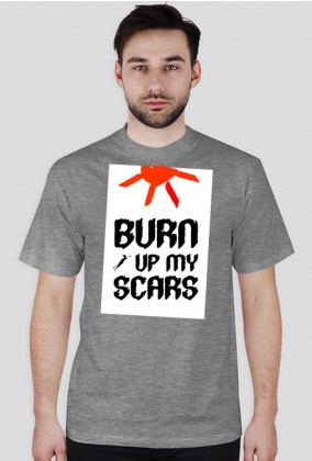 burn up my scars