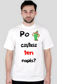 Kaktus