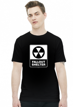 Fallout 07-2