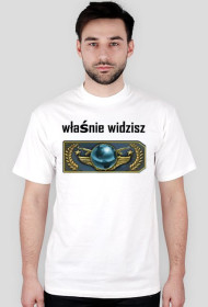 koszulka właśnie widzisz global elite za kilka lat