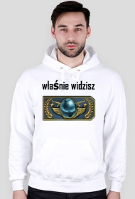 bluza właśnie widzisz global elite za kilka lat