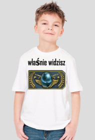 właśnie widzisz global eite za kilka lat