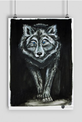 Plakat "Grey Wolf" - blacK Mind