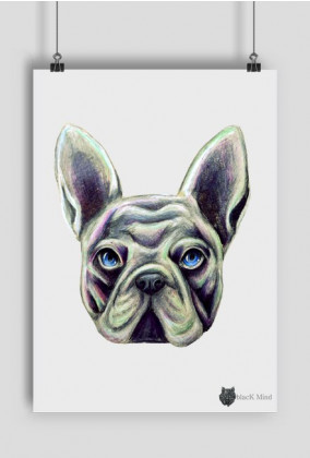 Plakat "French bulldog" - blacK Mind