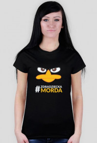 Zdradziecka morda angry duck