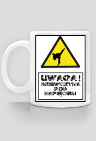 Dziewczyna pod napięciem V2