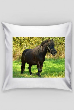 poduszka miłośników koni