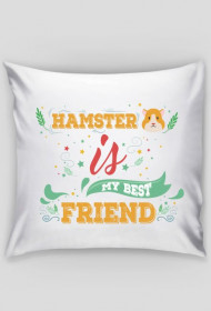 poduszka "hamster is my best friend"