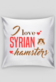 I love syrian hamsters