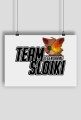 Plakat TeamSłoiki