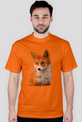 FOX/LIS