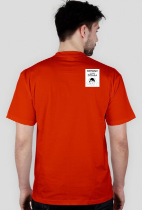 Koszulka - dziwne u mnie działa