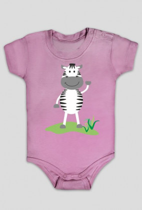 Body Afryka Zebra
