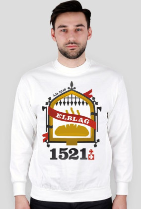 Historia Elbląga