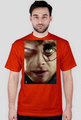 Harry Potter & Voldemort