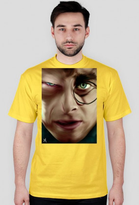 Harry Potter & Voldemort