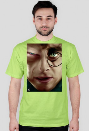 Harry Potter & Voldemort