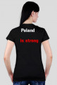 PolandBall Husaria z "Poland is strong"