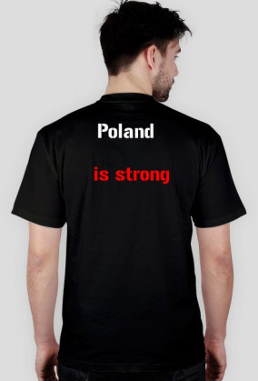 PolandBall Husaria z "Poland is strong"