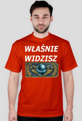 właśnie widzisz global eite za kilka lat