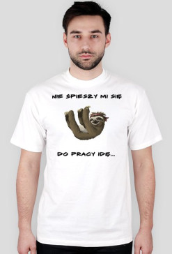 Do pracy idę..
