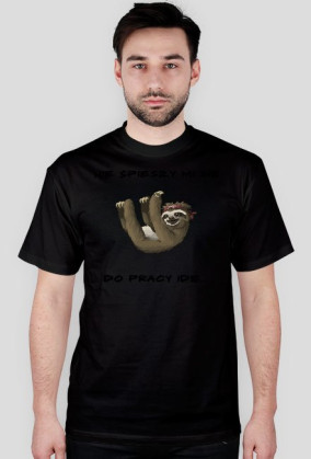 Do pracy idę..