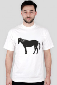 Konik