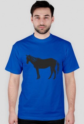 Konik