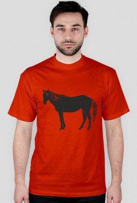 Konik