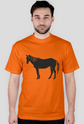 Konik