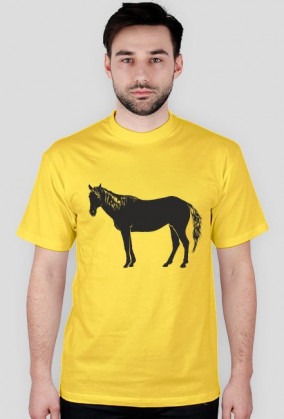 Konik