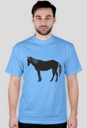 Konik